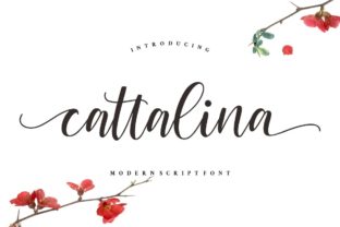 Cattalina: A Luxury Handwritten Font
