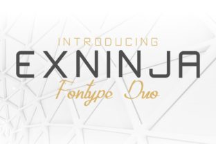 Exninja: Where Bold Sans Serif Meets Expressive Script